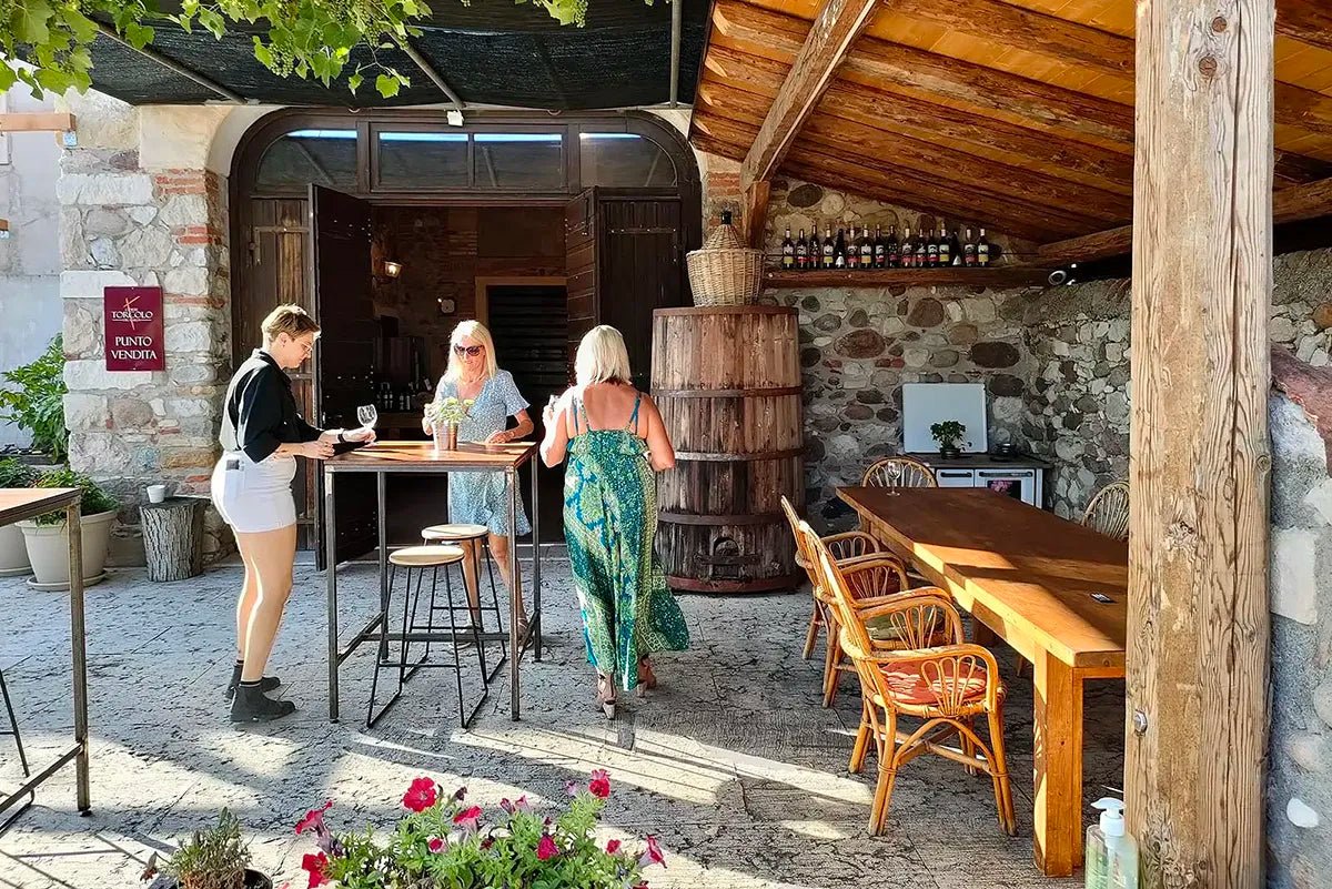 Vineyard tour and tasting of Garda Wines in Cavaion Veronese - Wine Tasting - Touraround