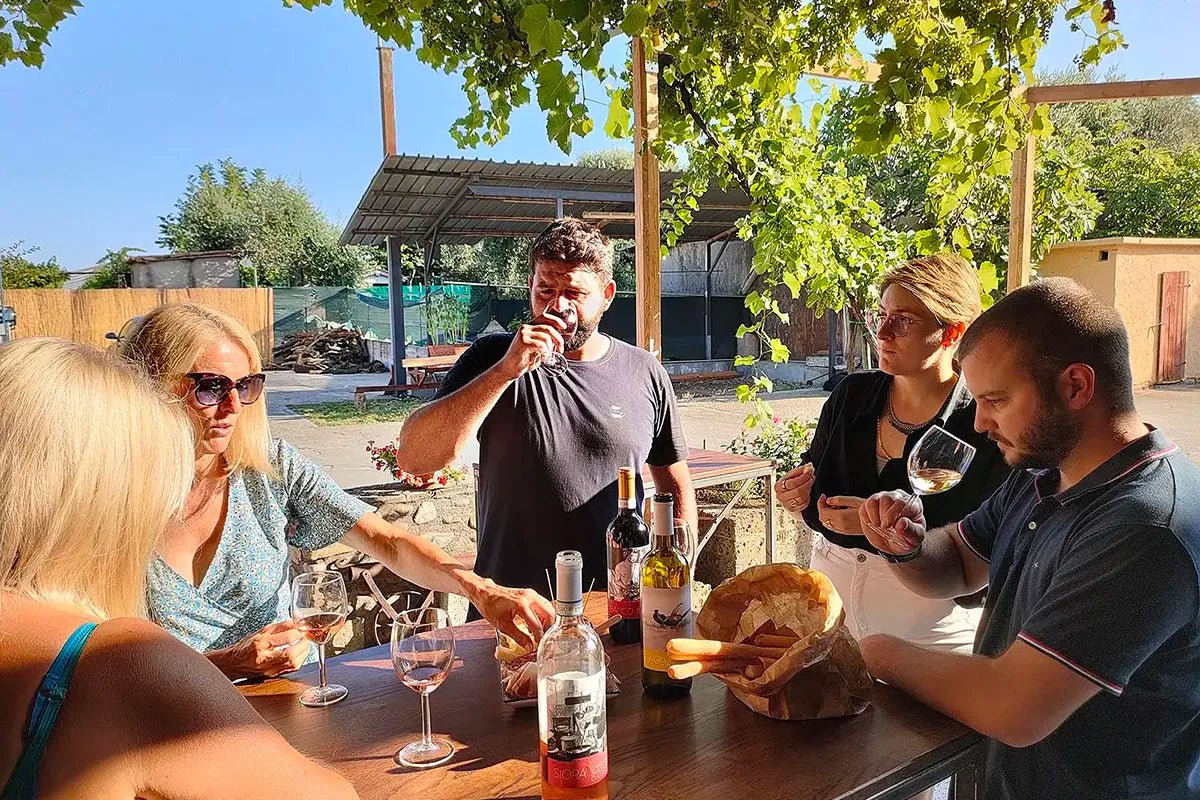 Vineyard tour and tasting of Garda Wines in Cavaion Veronese - Wine Tasting - Touraround
