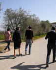Vineyard Tour and Tasting of Lugana Wines - Wine Tasting - Touraround