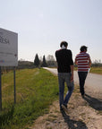 Vineyard Tour and Tasting of Lugana Wines - Wine Tasting - Touraround