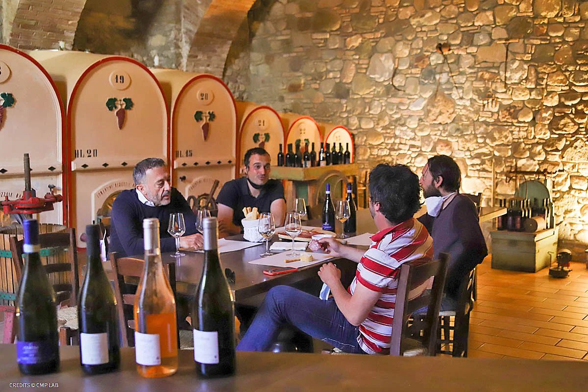 Vineyard Tour and Tasting of Lugana Wines - Wine Tasting - Touraround