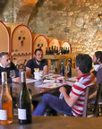 Vineyard Tour and Tasting of Lugana Wines - Wine Tasting - Touraround