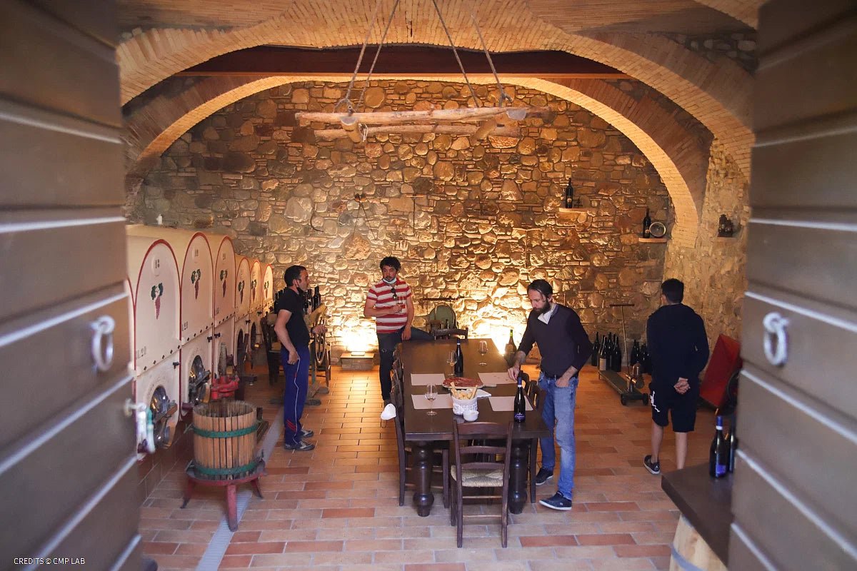 Vineyard Tour and Tasting of Lugana Wines - Wine Tasting - Touraround