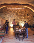 Vineyard Tour and Tasting of Lugana Wines - Wine Tasting - Touraround