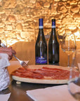 Vineyard Tour and Tasting of Lugana Wines - Wine Tasting - Touraround