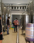 Vineyard Tour and Tasting of Lugana Wines - Wine Tasting - Touraround