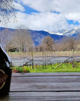 Visit to the Vineyard on Mount Mezzocorona and tasting of 3 Aged Wines - Wine Tasting - Touraround