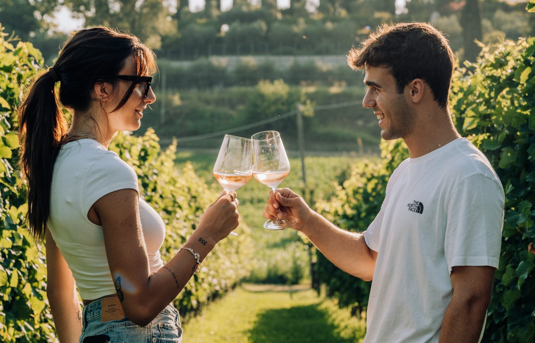 Wine and Food Tasting in the Vineyards - Wine Tasting - Touraround