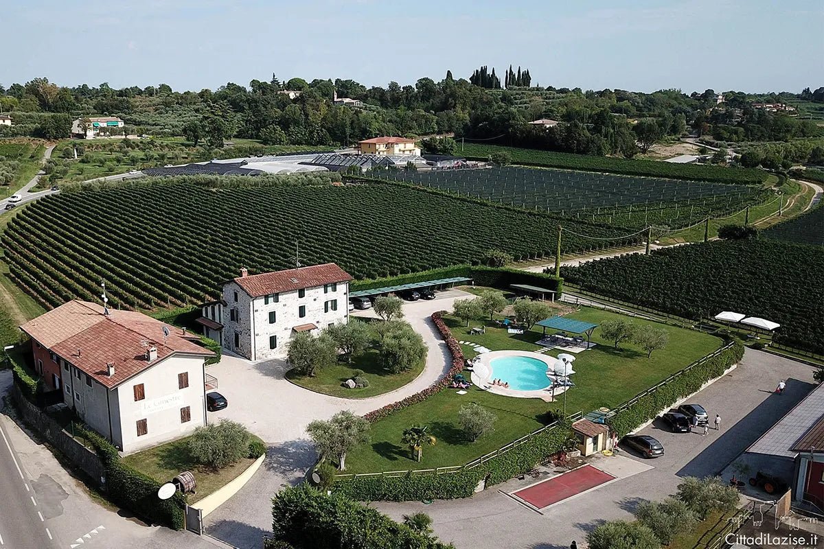 Wine and Food Tasting in the Vineyards - Wine Tasting - Touraround