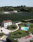 Wine and Food Tasting in the Vineyards - Wine Tasting - Touraround