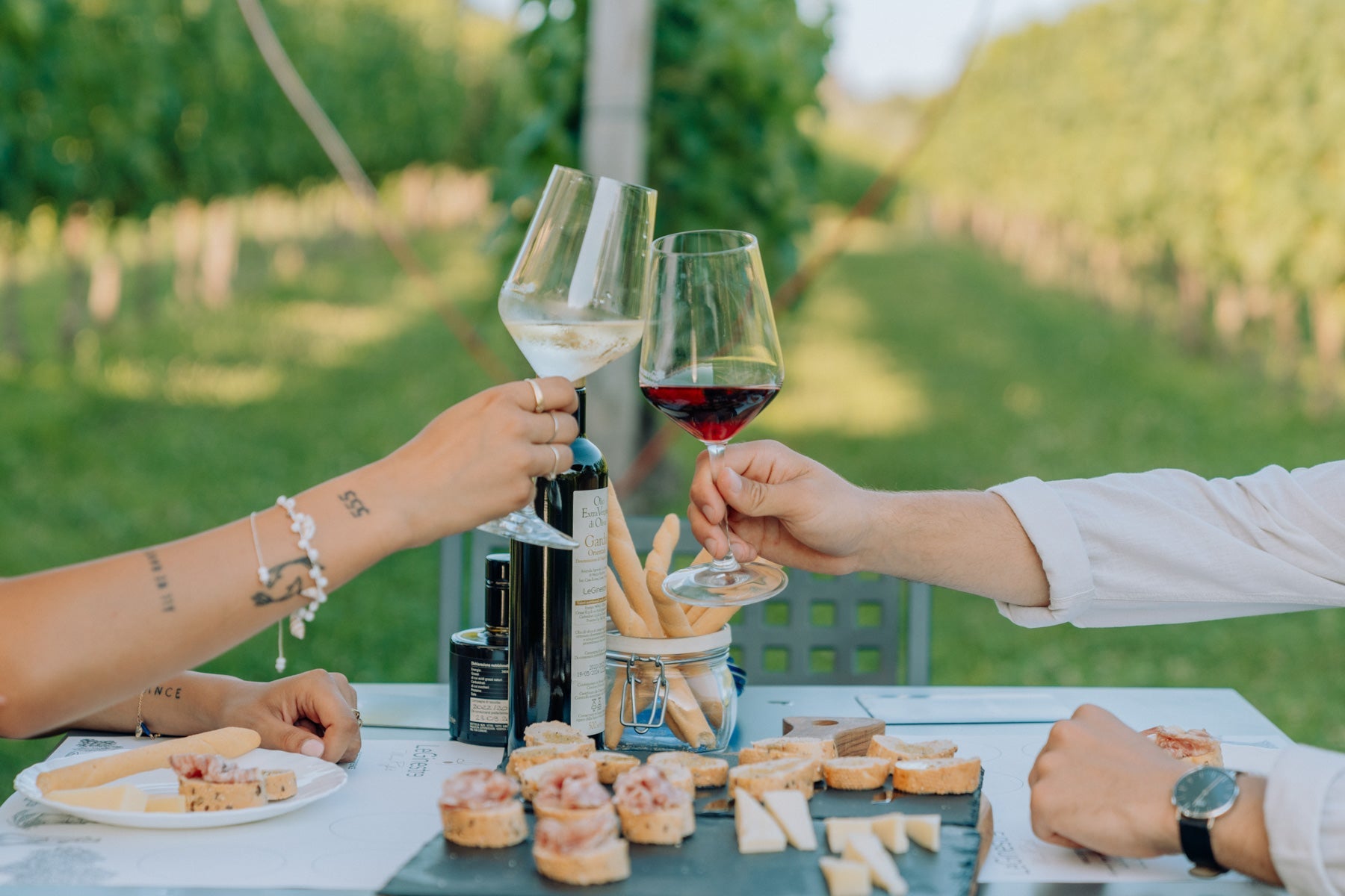 Wine and Food Tasting in the Vineyards - Wine Tasting - Touraround