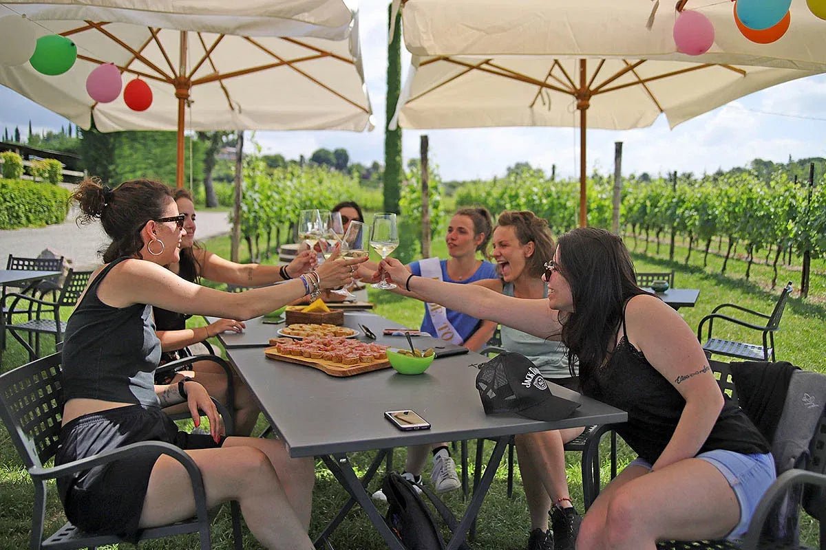 Wine and Food Tasting in the Vineyards - Wine Tasting - Touraround