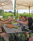 Wine and Food Tasting in the Vineyards - Wine Tasting - Touraround
