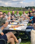 Wine and Food Tasting in the Vineyards - Wine Tasting - Touraround