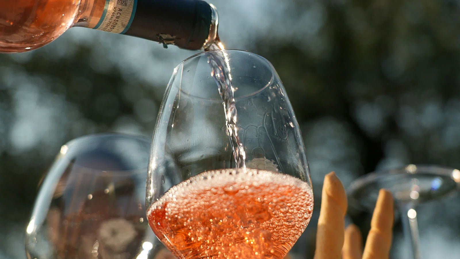 Wine and Food Tasting on Bardolino Hills - Wine Tasting - Touraround