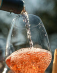 Wine and Food Tasting on Bardolino Hills - Wine Tasting - Touraround