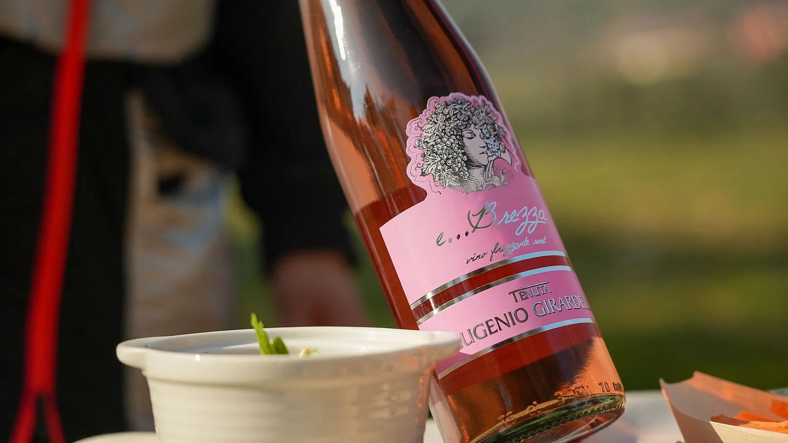 Wine and Food Tasting on Bardolino Hills - Wine Tasting - Touraround