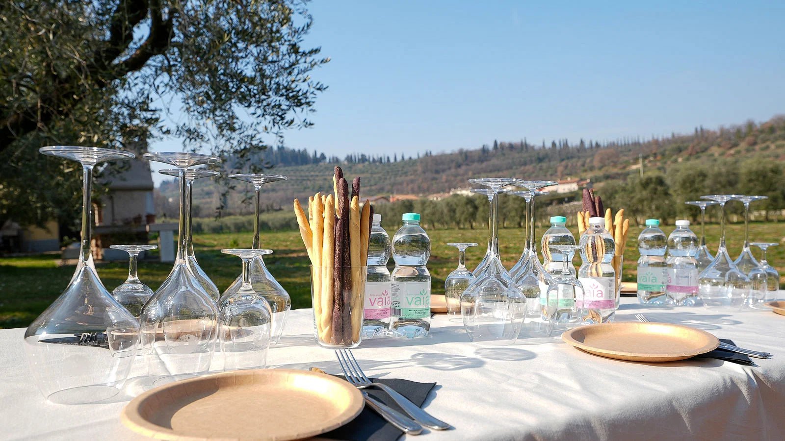 Wine and Food Tasting on Bardolino Hills - Wine Tasting - Touraround