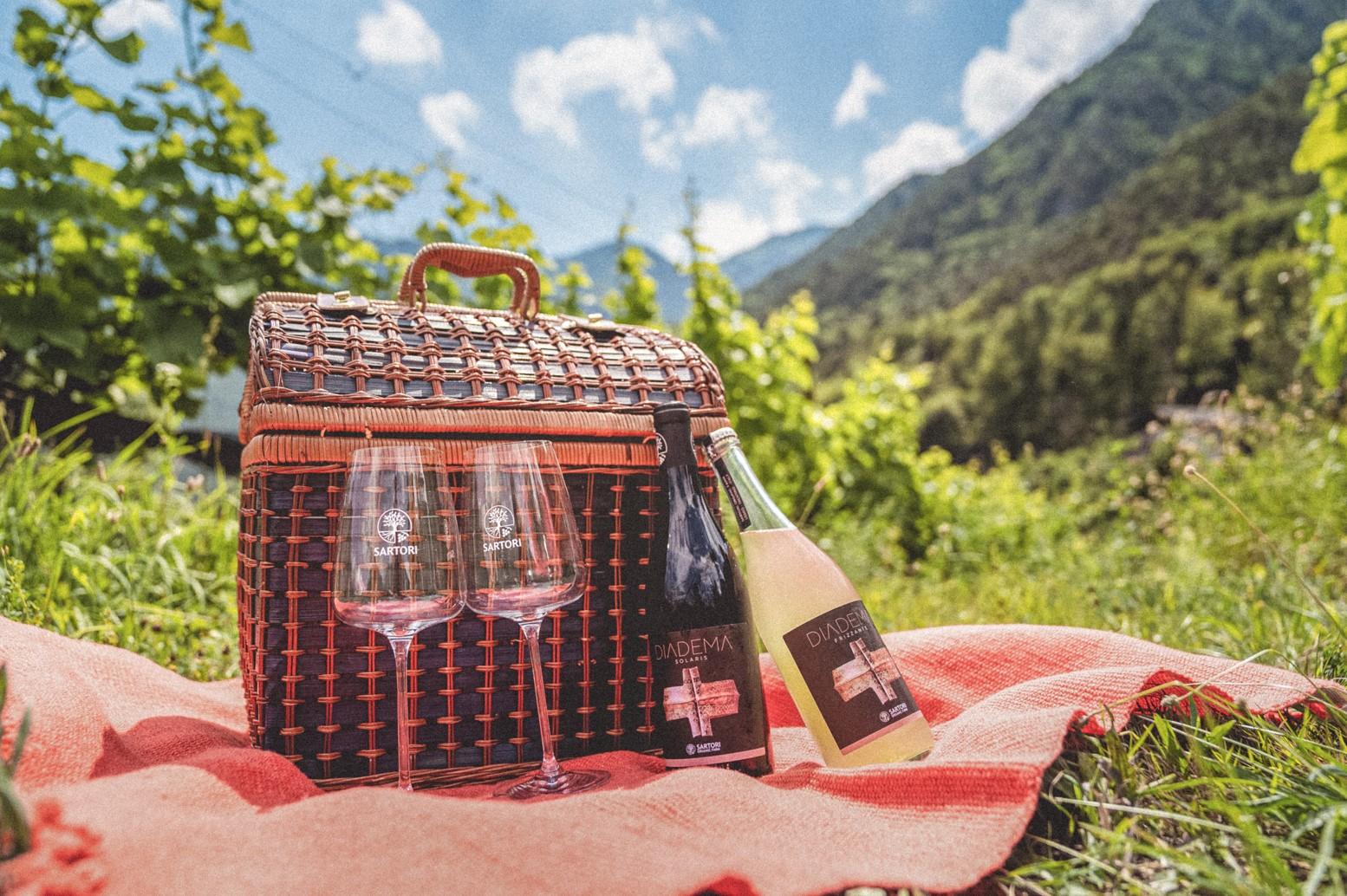 Wine Pic Nic with stunning lake view in Ledro - Wine Tasting - Touraround