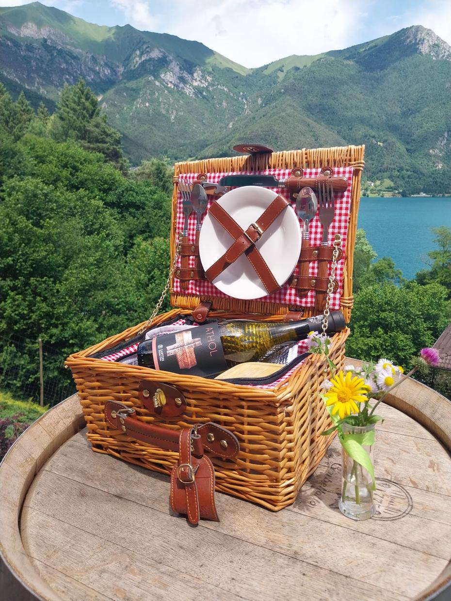 Wine Pic Nic with stunning lake view in Ledro - Wine Tasting - Touraround
