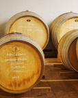 Wine Tasting and Food Parings in Langhe and near Alba - Wine Tasting - Touraround