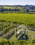 Wine Tasting and Food Parings in Langhe and near Alba - Wine Tasting - Touraround