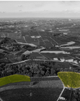 Wine Tasting and Food Parings in Langhe and near Alba - Wine Tasting - Touraround