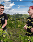 Wine Tasting and Winery Visit near Asti and Turin - Wine Tasting - Touraround