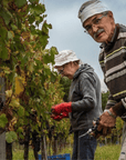 Wine Tasting and Winery Visit near Asti and Turin - Wine Tasting - Touraround