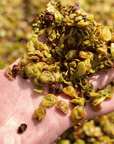 Wine Tasting and Winery Visit near Asti and Turin - Wine Tasting - Touraround