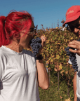 Wine Tasting and Winery Visit near Asti and Turin - Wine Tasting - Touraround