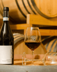 Wine Tasting and Winery Visit near Asti and Turin - Wine Tasting - Touraround