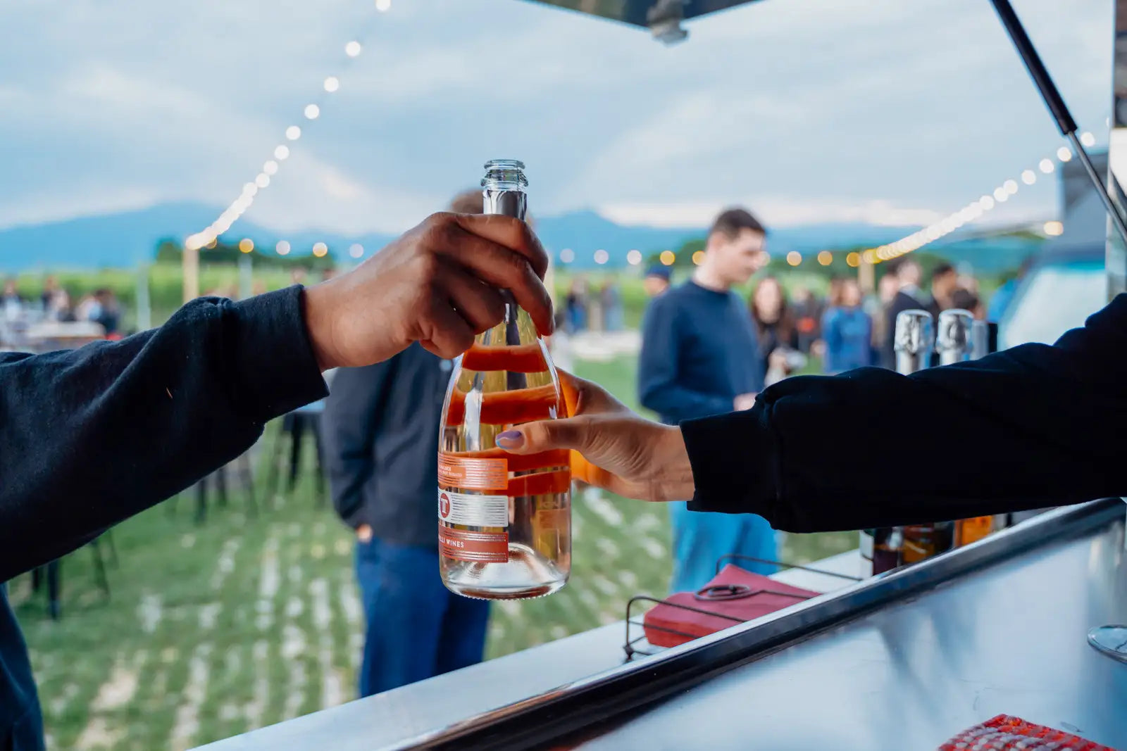 Countryside Wine Experience with Local Food and Vineyard Views - Touraround