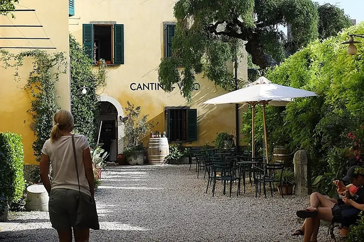 Wine Tasting in Historical Center of Lazise - Wine Tasting - Touraround