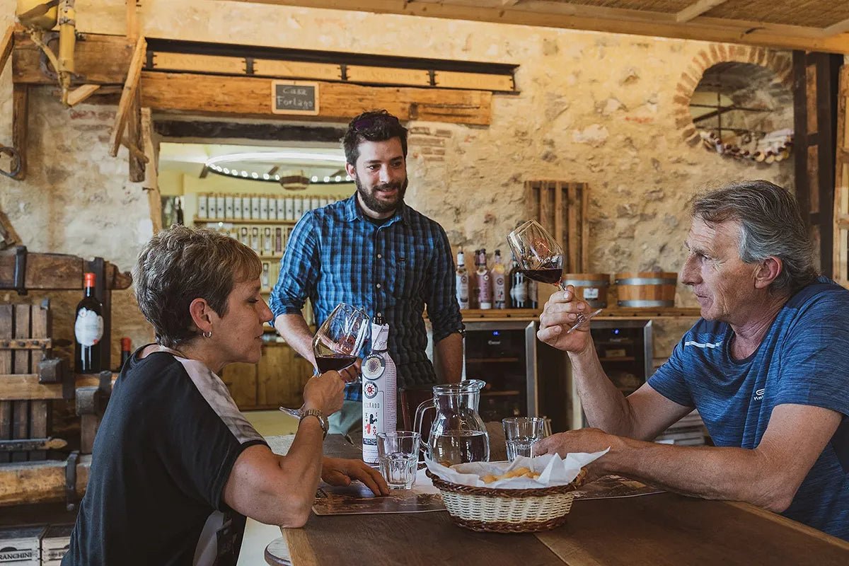 Wine tasting in Valpolicella Classica: the cradle of Amarone - Wine Tasting - Touraround