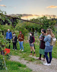 Wine tasting in Valpolicella Classica: the cradle of Amarone - Wine Tasting - Touraround