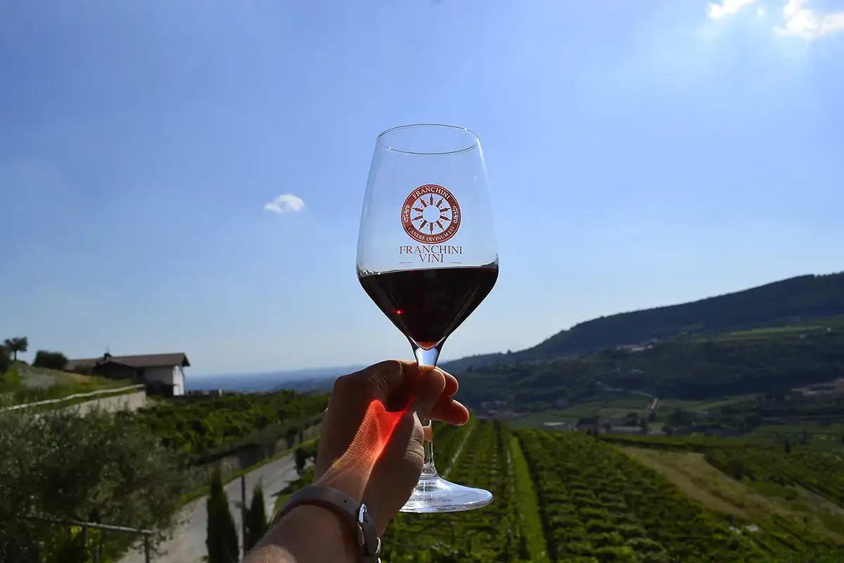 Wine tasting in Valpolicella Classica: the cradle of Amarone - Wine Tasting - Touraround