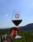 Wine tasting in Valpolicella Classica: the cradle of Amarone - Wine Tasting - Touraround