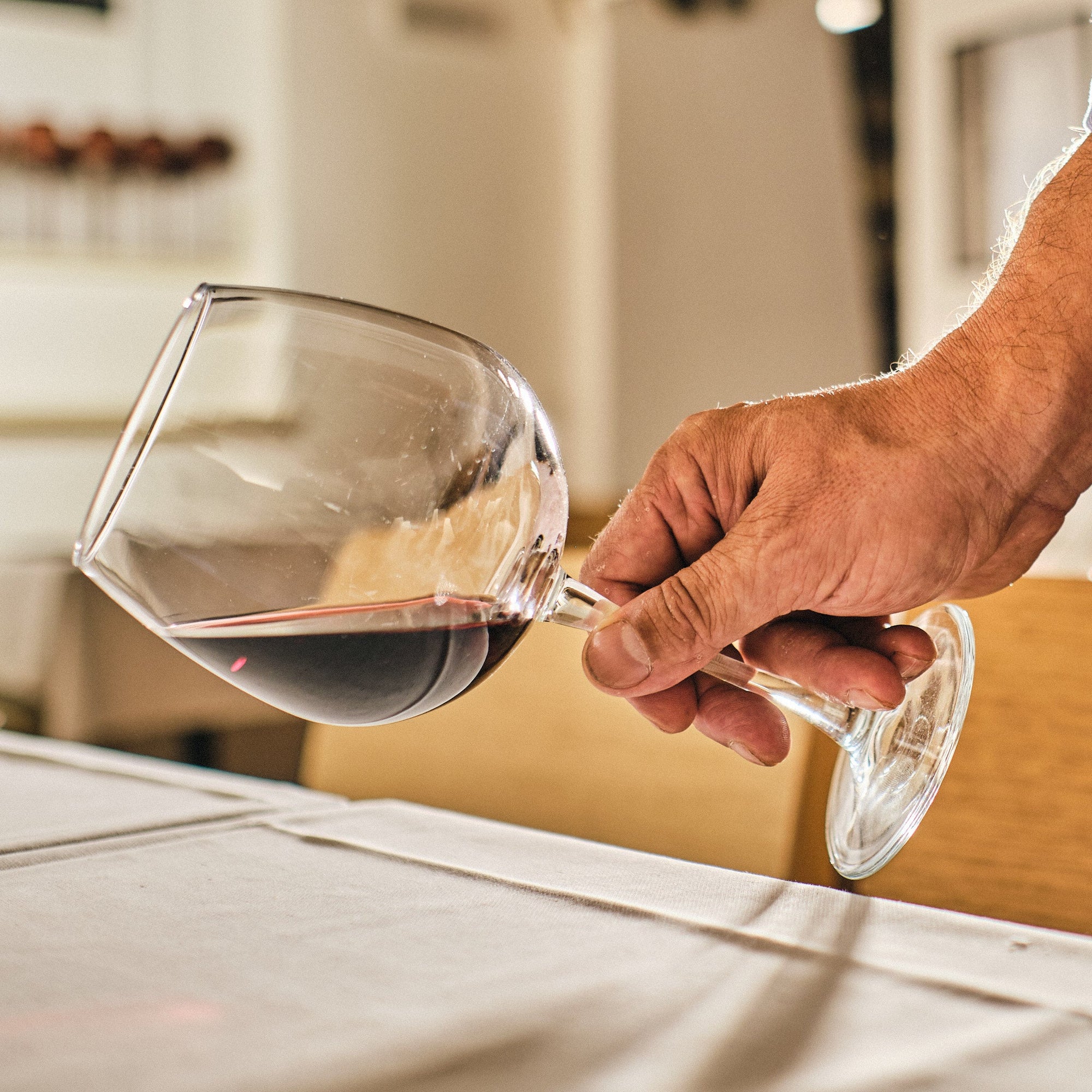 Wine Tasting near Juliet's House - Wine Tasting - Touraround