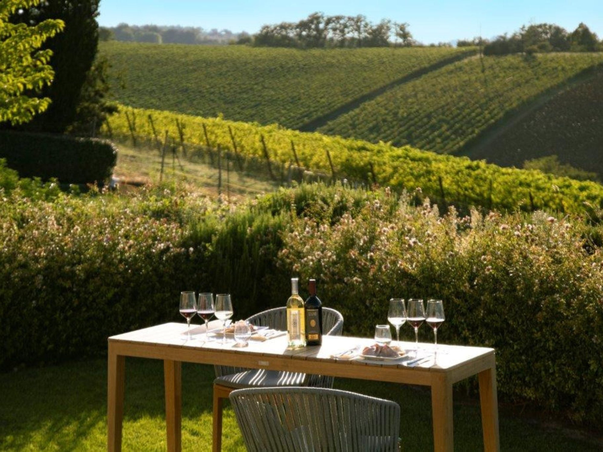 Wine Tasting with Food Pairing near Bologna - Wine Tasting - Touraround