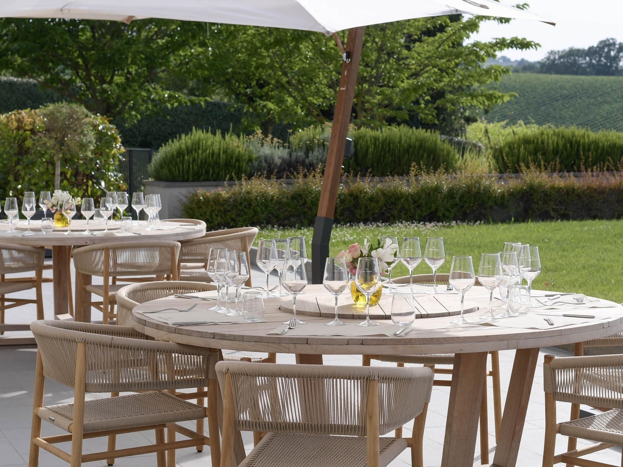 Wine Tasting with Food Pairing near Bologna - Wine Tasting - Touraround