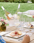 Wine Tasting with Food Pairing near Bologna - Wine Tasting - Touraround