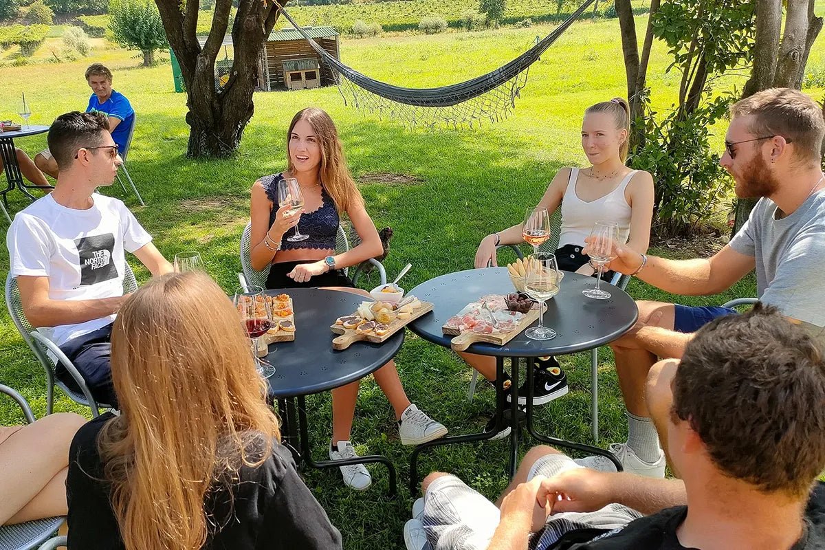 Wine Tasting with local food in Lazise countryside - Wine Tasting - Touraround
