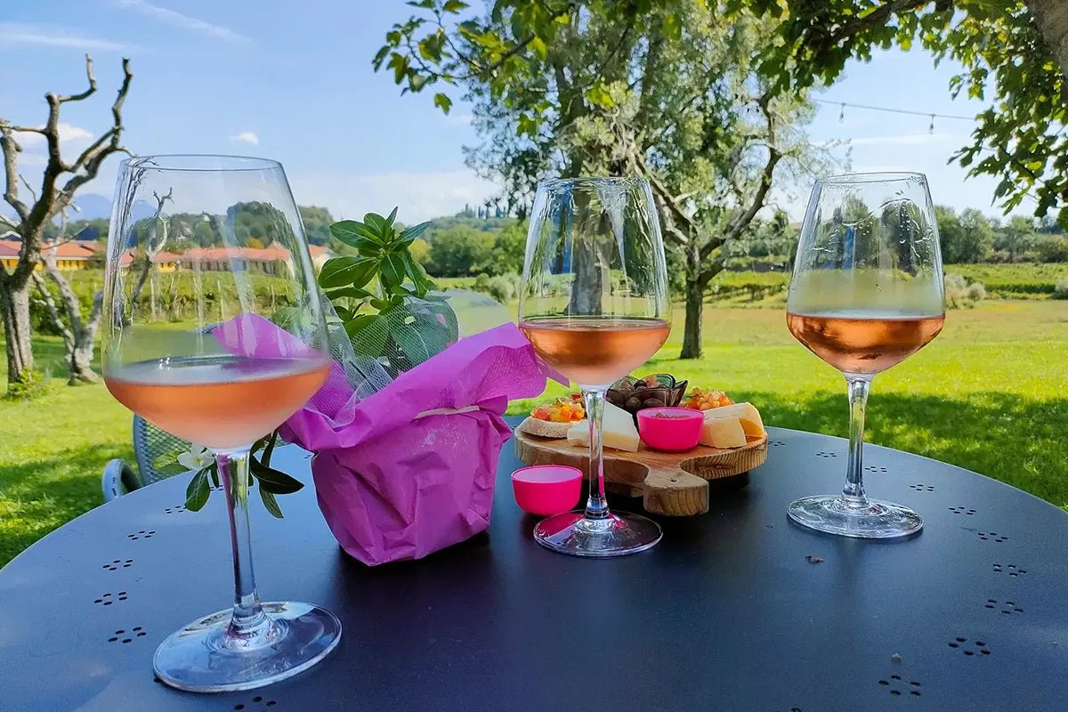 Wine Tasting with local food in Lazise countryside - Wine Tasting - Touraround