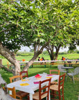 Wine Tasting with local food in Lazise countryside - Wine Tasting - Touraround