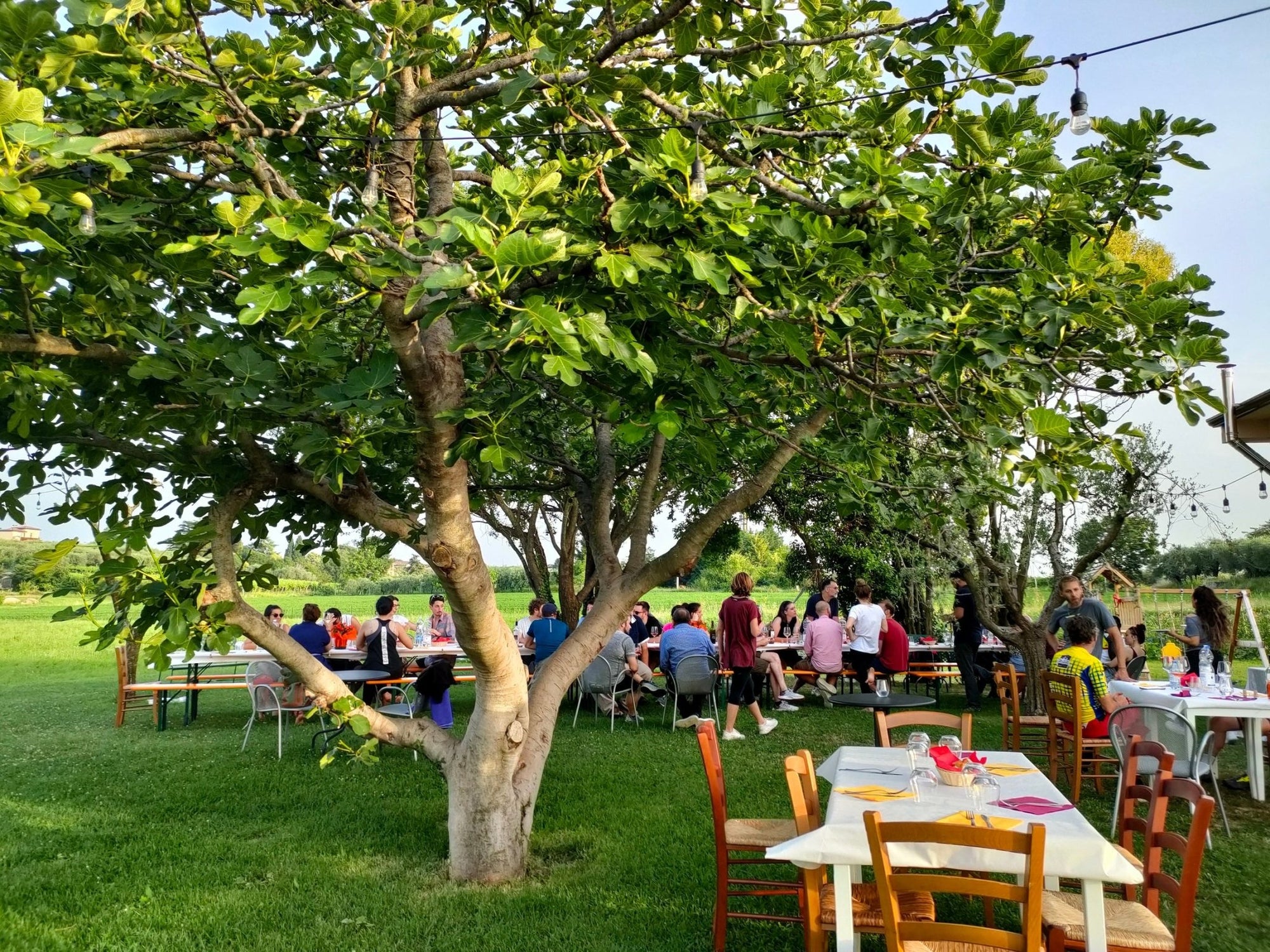 Wine Tasting with local food in Lazise countryside - Wine Tasting - Touraround
