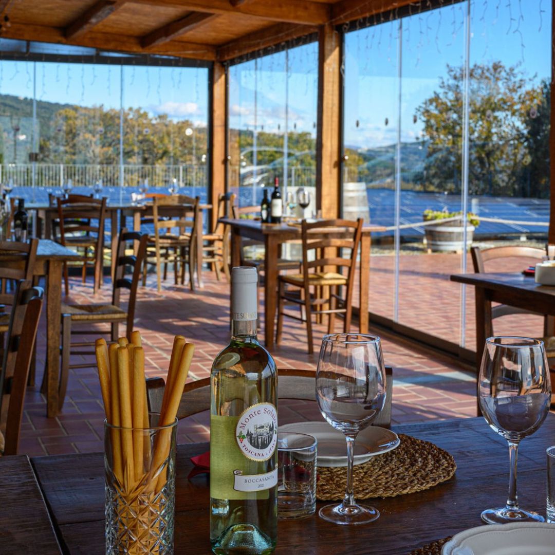 Wine Tasting with Local Food Pairing near Livorno - Wine Tasting - Touraround