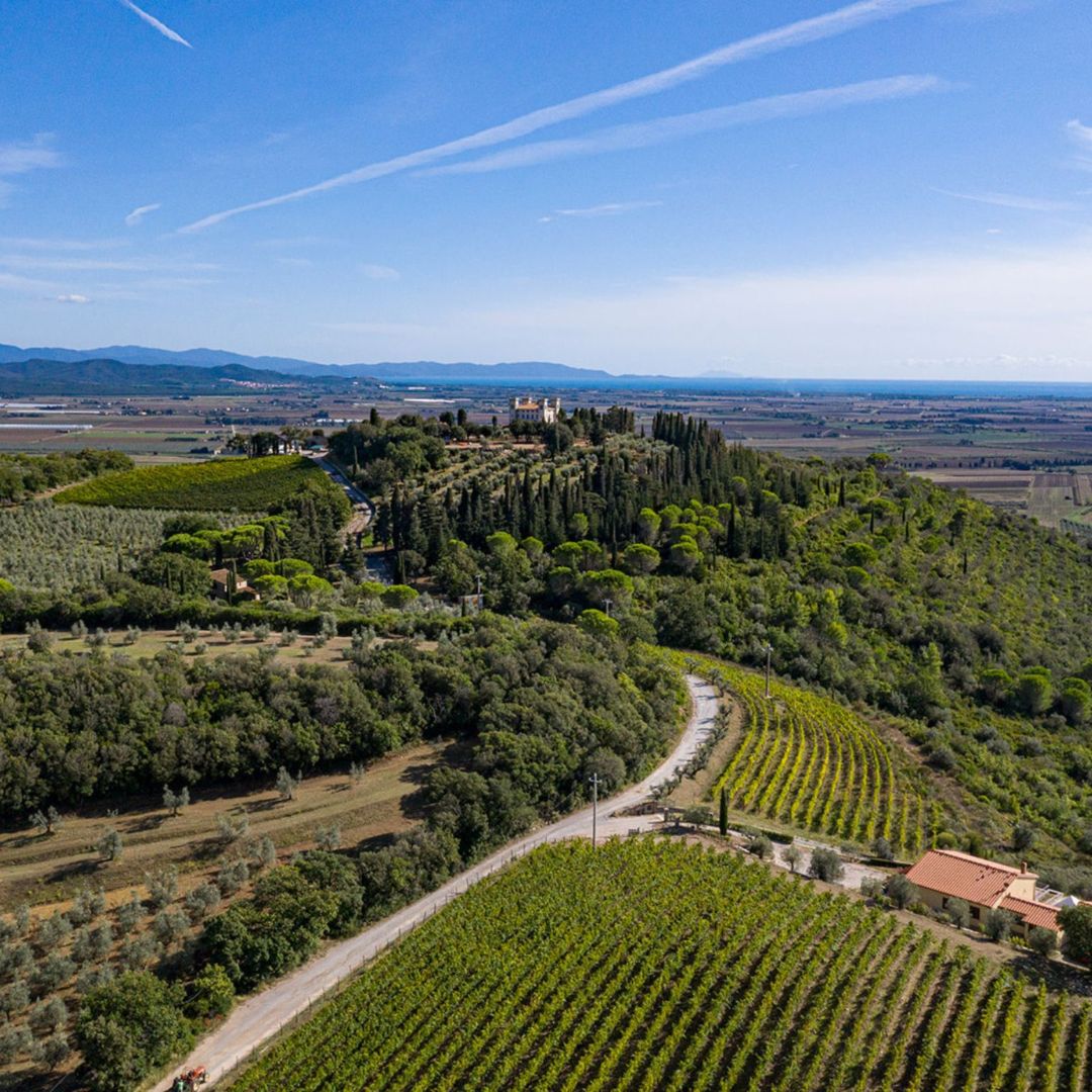Wine Tasting with Local Food Pairing near Livorno - Wine Tasting - Touraround