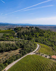 Wine Tasting with Local Food Pairing near Livorno - Wine Tasting - Touraround