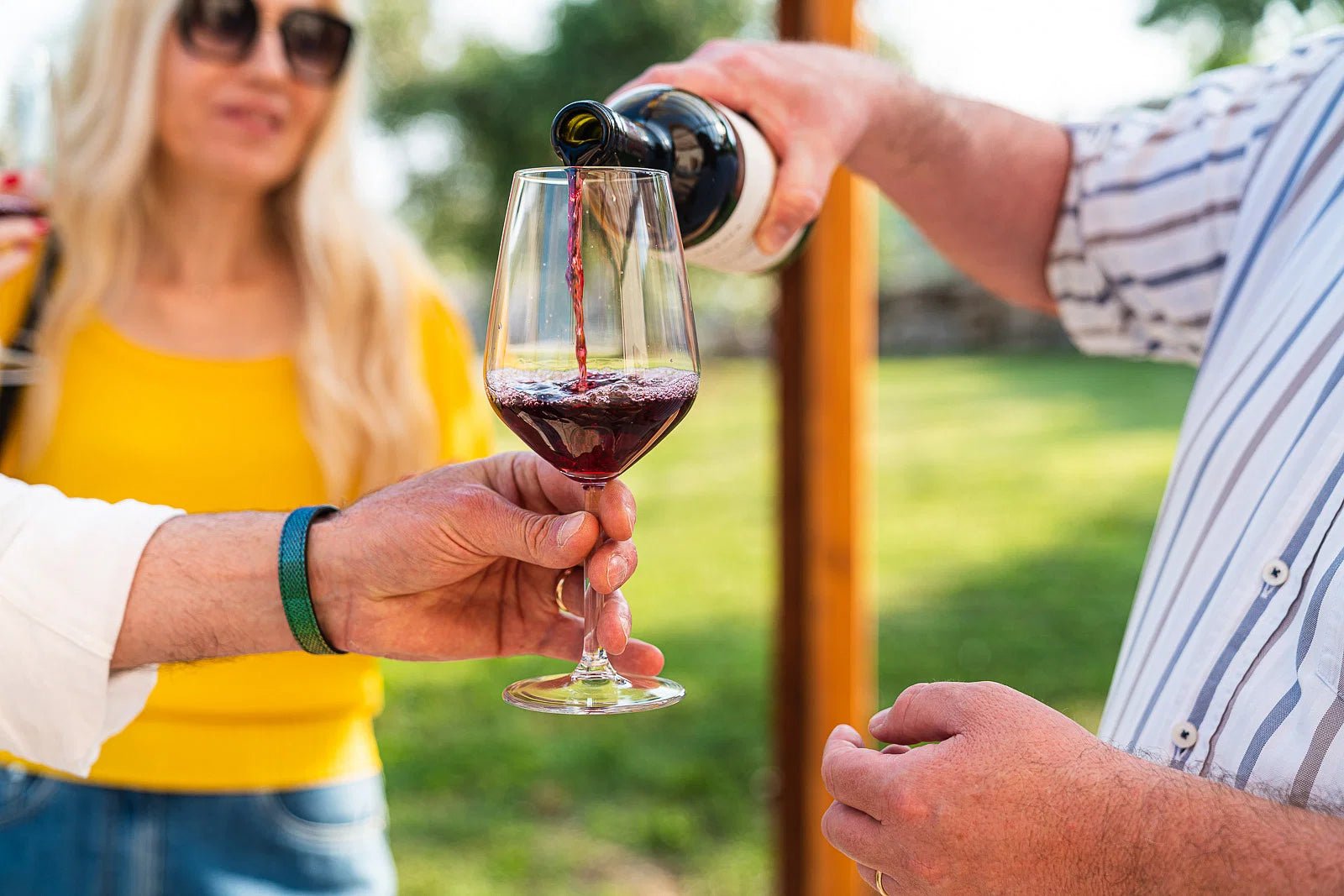 Wine tour and Tasting in a small Estate on Valpolicella Hills - Wine Tasting - Touraround